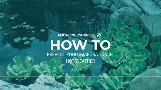 Preventing Pond Evaporation in Hot Weather