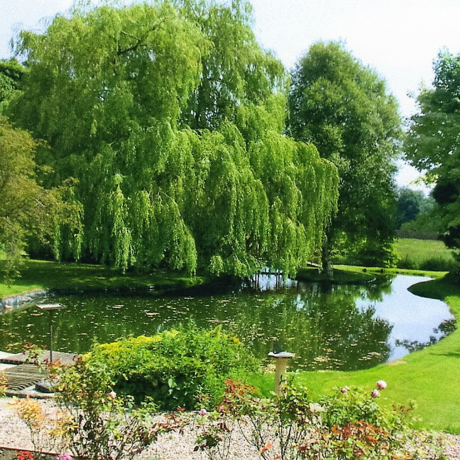 SealEco GreenSeal Pond Liner 0.75mm