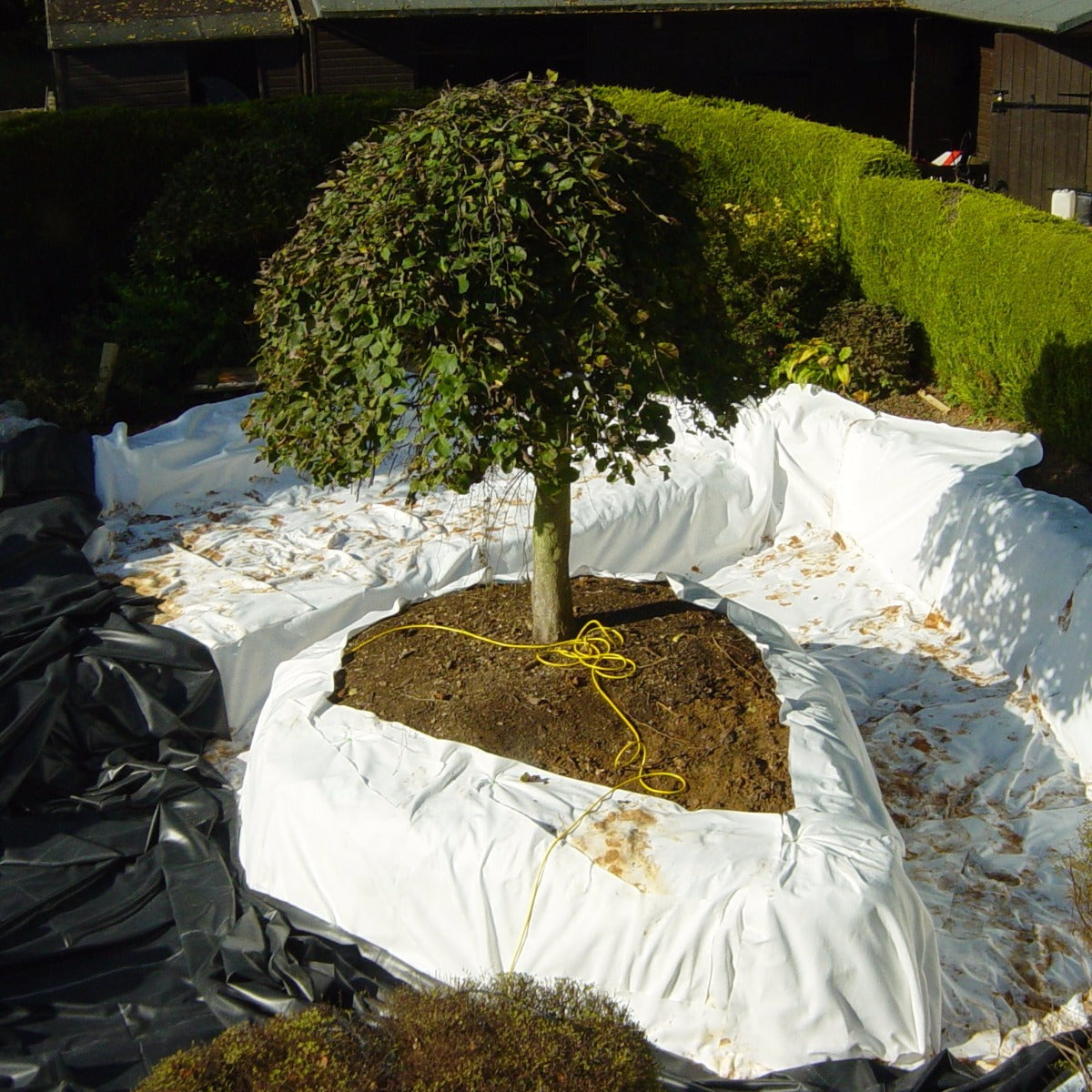 Pond Liner Underlay Detailing Island