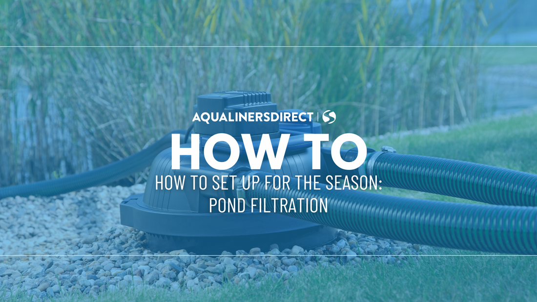 Pond Filtration: How To Set Up for the Season