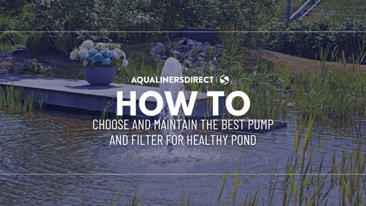 How to Choose and Maintain the Best Pond Pump and Filter for a Healthy Pond