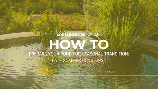 Prepare your Pond for Seasonal Transition: Late Summer Pond Tips
