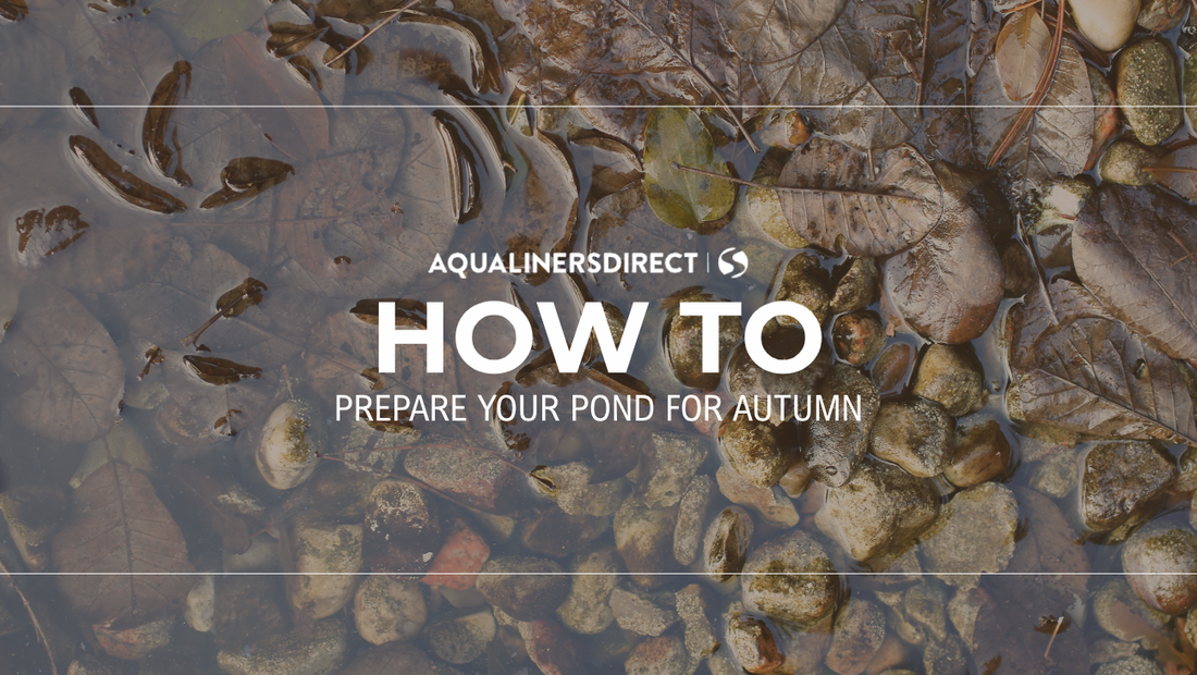 Autumn Pond Care | Preparing Your Pond for Autumn | Learn More