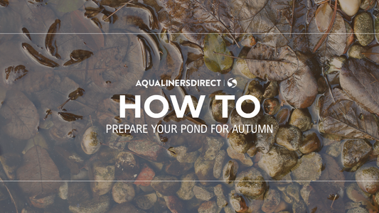 Autumn Pond Care | Preparing Your Pond for Autumn | Learn More