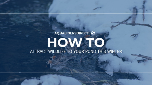 Attract Wildlife to your Pond this Winter