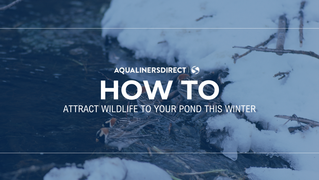 Attract Wildlife to your Pond this Winter