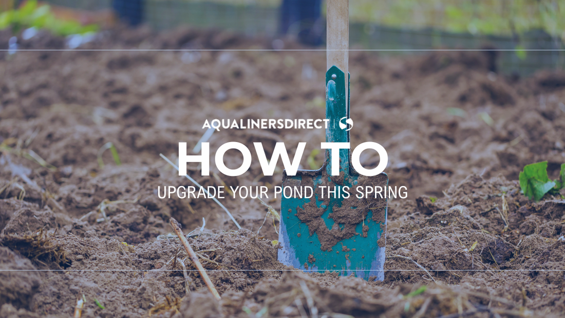 How To Upgrade Your Pond This Spring