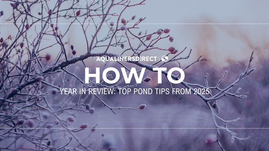 Year in Review: Our 2025 Top Pond Tips