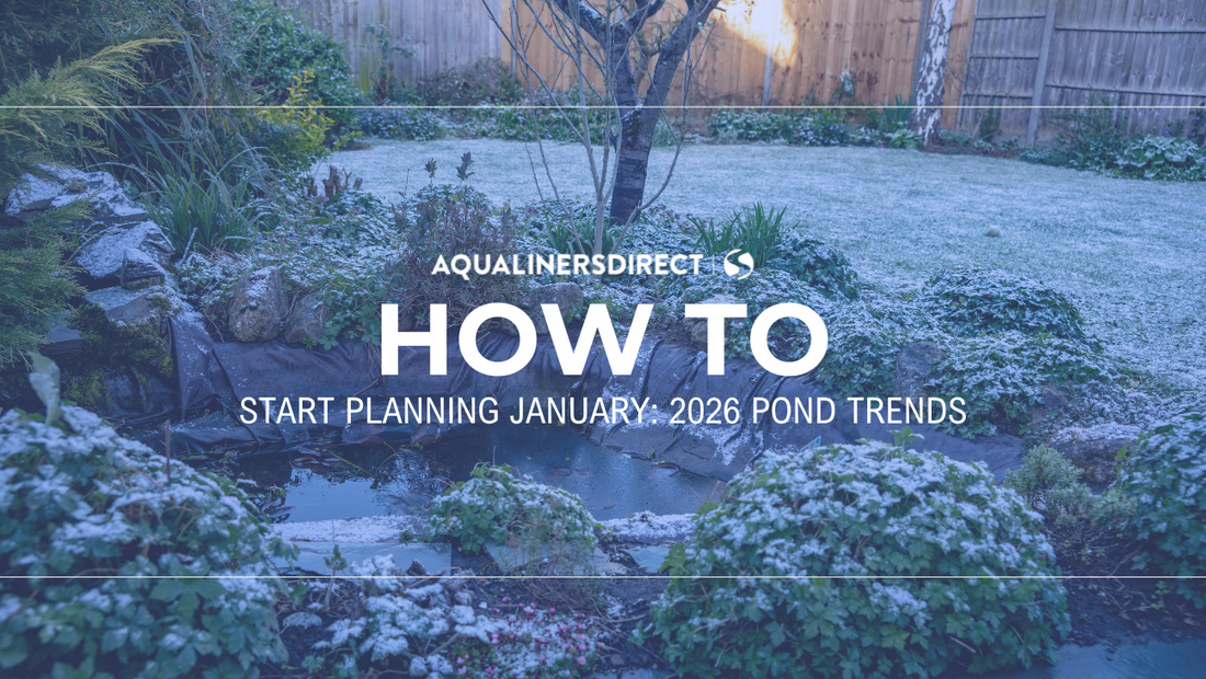 2026 Pond Trends: Start Planning Your Perfect Pond