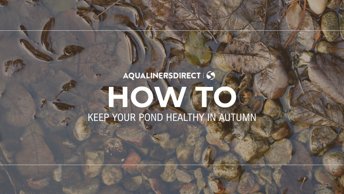 Keep Your Pond Healthy in Autumn