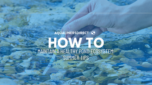 Maintaining a Healthy Pond Ecosystem: Summer Tips