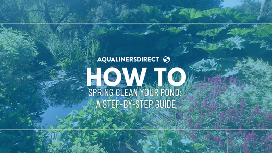Spring Pond Maintenance: A Step-by-Step Guide