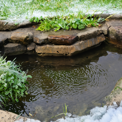 Preparing Your Pond for Winter